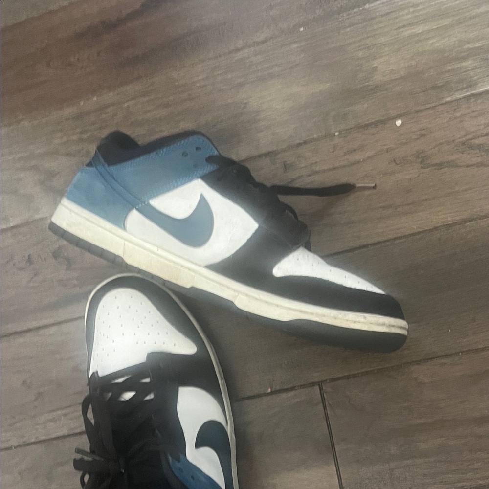 Nike Men's Black and Blue Dunk